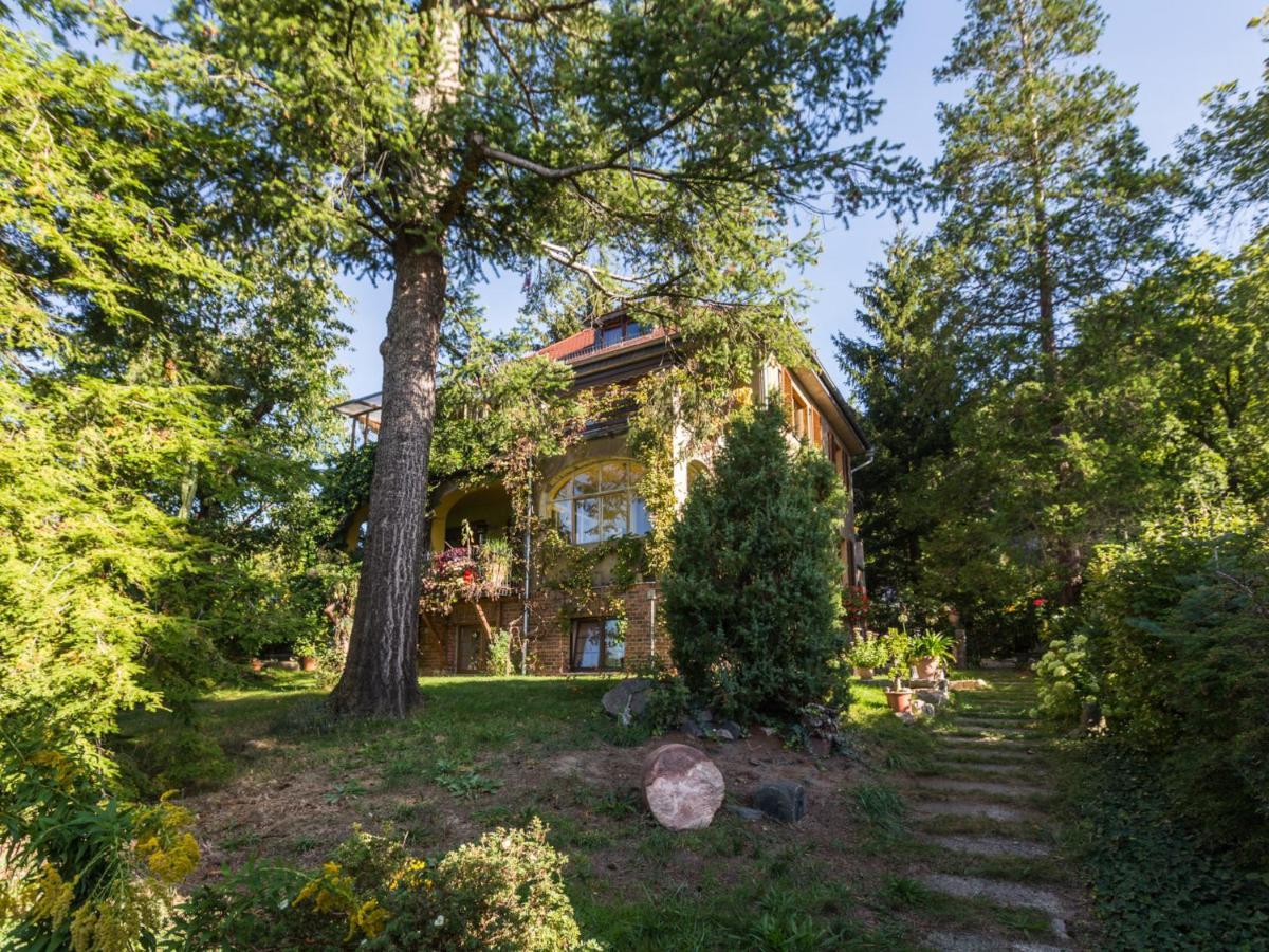 Ferienwohnung Dresden-Pillnitz - Elbhang-Villa - "Am Zuckerhut" Экстерьер фото